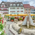 Hotel-restaurant Thueringer Hof 3*