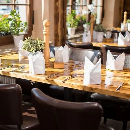Hotel Hotel-restaurant Thuringer Hof Bad Frankenhausen