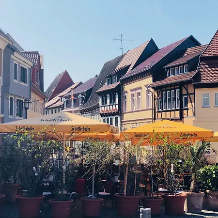 Hotel-restaurant Thuringer Hof 3* Bad Frankenhausen