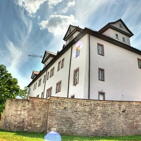 Hotel Hotel-restaurant Thueringer Hof Bad Frankenhausen