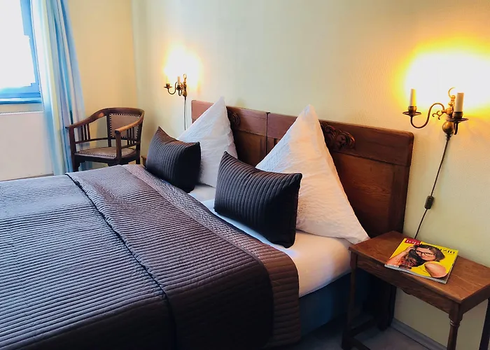 Hotel-restaurant Thueringer Hof 3* Bad Frankenhausen