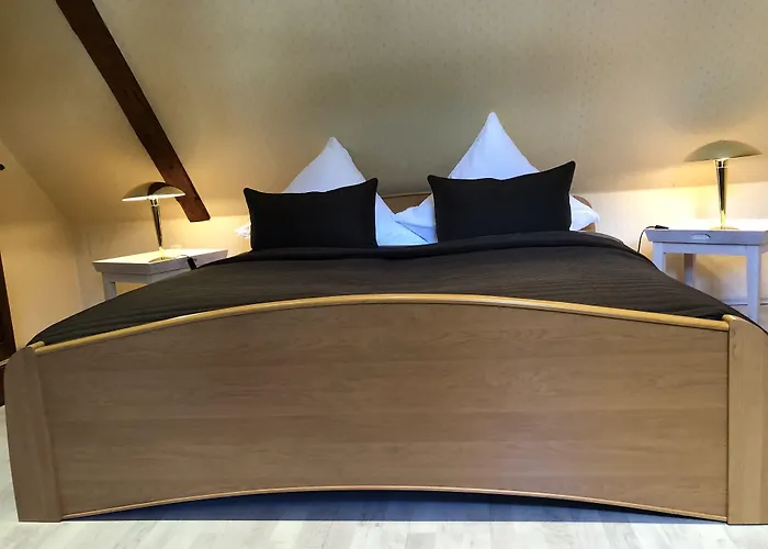 Hotel-restaurant Thueringer Hof 3* Bad Frankenhausen